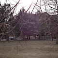 Park in the City
