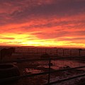 Sunrise Over Corral
