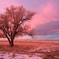 Winter Sunrise